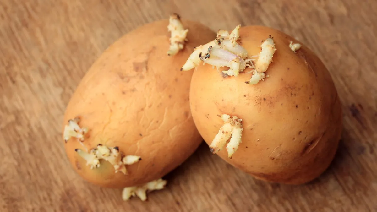 Houd aardappelen drie maanden vers met een simpele bewaartruc