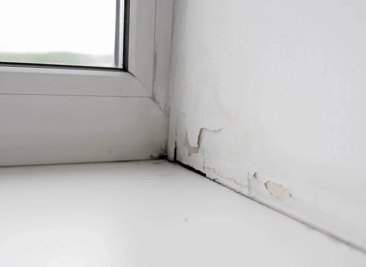 Gebruik van grof zout en rozemarijn als natuurlijke vochtbestrijding